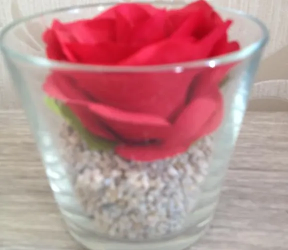 Chaplin * Blankenberge